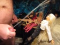 B.B.B.preview: Michelle B. "Nooner F.J."cum only WMV with SloMo