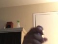 DICK.!!!!