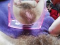 My pussy is so fucking hairy 