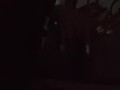 Bedtime Pussy Play 