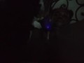 Bedtime Pussy Play 