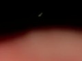 BBW Upskirt Pissing Near Street!!