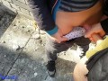 CUMSHOT COMPILATION&CUM PANTIES COMPILATION