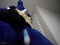 Lucario Filling up ANOTHER CONDOM, then Removes the Condom and Cums AGAIN!