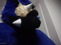 Lucario Filling up ANOTHER CONDOM, then Removes the Condom and Cums AGAIN!