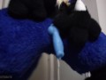 Lucario Filling up ANOTHER CONDOM, then Removes the Condom and Cums AGAIN!