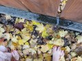Girl's Quick Outside Piss On Local Fence