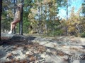 was spying on a girl masturbating in the forest
