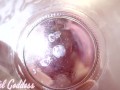POV Big Ass BBW Giantess Keeps You Prisoner in a Fart Jar - Pastel Goddess