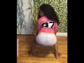 Gata Official Twerk Compilation #2 Big Tits Sexy Thick Body Ass Clapping