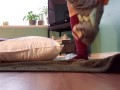 Satisfying Pillow Soaking Piss