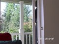 I followed you home baby..introduce me to your Wife. (milf homewrecker POV)