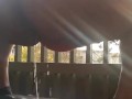 SSBBW Takes Pee Outside 