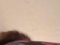 Shaking Ass. 