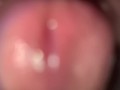 Internal view (with cumshot)