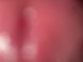 Internal view (with cumshot)
