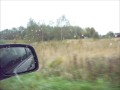 Milf in panty and jeans masturbating in car