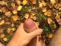 boy with a big dick shoots 3 streams of cum in the forest