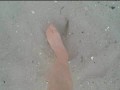 Spaziergang in Nylon am Strand ** Urlaub Wangerland **
