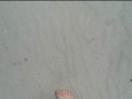Spaziergang in Nylon am Strand ** Urlaub Wangerland **
