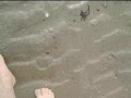 Spaziergang in Nylon am Strand ** Urlaub Wangerland **