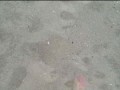 Spaziergang in Nylon am Strand ** Urlaub Wangerland **