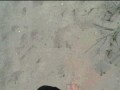 Spaziergang in Nylon am Strand ** Urlaub Wangerland **