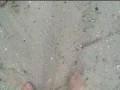 Spaziergang in Nylon am Strand ** Urlaub Wangerland **