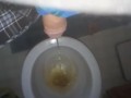 Dude Pissing 