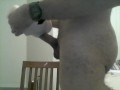 BBC IN SEX TOY
