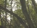 Andrea's porn interview and shoot