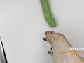 Лучший русский футджоб длинный педикюр пальцы ног
