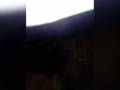 Love eating pussy. Old video