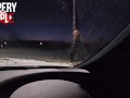 I picked up a young hitchhiker, she started playing with her pussy so I told her to blow her