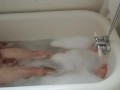 Let's take a bath