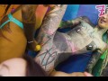 Alternative girls get banged by 3 guys, sloppy BJ, interracial, tattoo, dreads, wild fuck