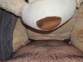Fuckin my teddy bears 🧸