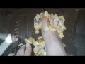 Pedal stomping raw eggs and Twinkies barefoot in my truck (front & back view)