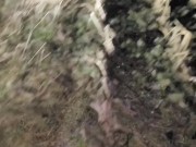 Desperation Pee and CAUGHT by motorists and peeing on his phone