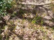 I swear I'm over ití