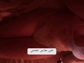 VIDEO HISTORIA DE SEXO REAL EN ARABE. 💋💋💋
