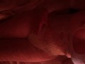 VIDEO HISTORIA DE SEXO REAL EN ARABE. 💋💋💋