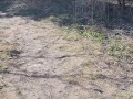 Nature Pee on the Hiking Trail beside a random parked car