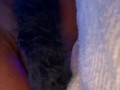 Anal creampie play| Double Penetration BBW Bunny