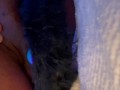 Anal creampie play| Double Penetration BBW Bunny