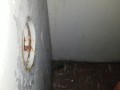 Wife sucks me at glory hole