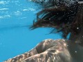 Hottest Hungarian milf Angelica gets horny underwater