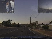 Bird Attacks My Truck