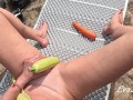 multiorgasm from vegetables of a red-haired slut in nature