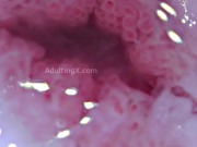 Cervix Throbbing, Dilated, Heartbeat, Extreme Close-up, Stunning, ASMR